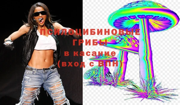 ECSTASY Алексин