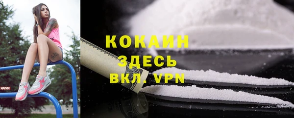 винт Алзамай