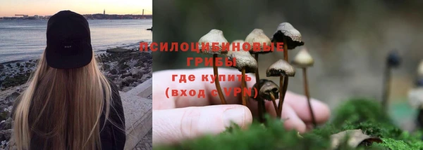 ECSTASY Алексин