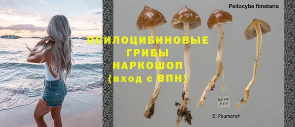соль курить ск Алексеевка