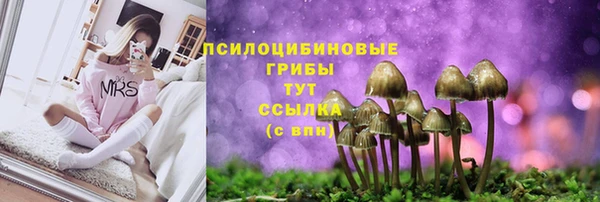 винт Алзамай