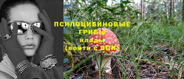 ECSTASY Алексин