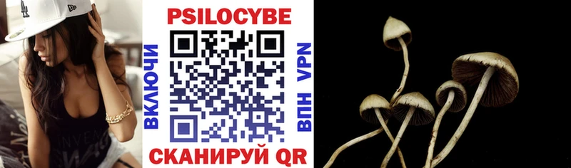 закладка  shop наркотические препараты  Псилоцибиновые грибы Magic Shrooms  Алзамай 